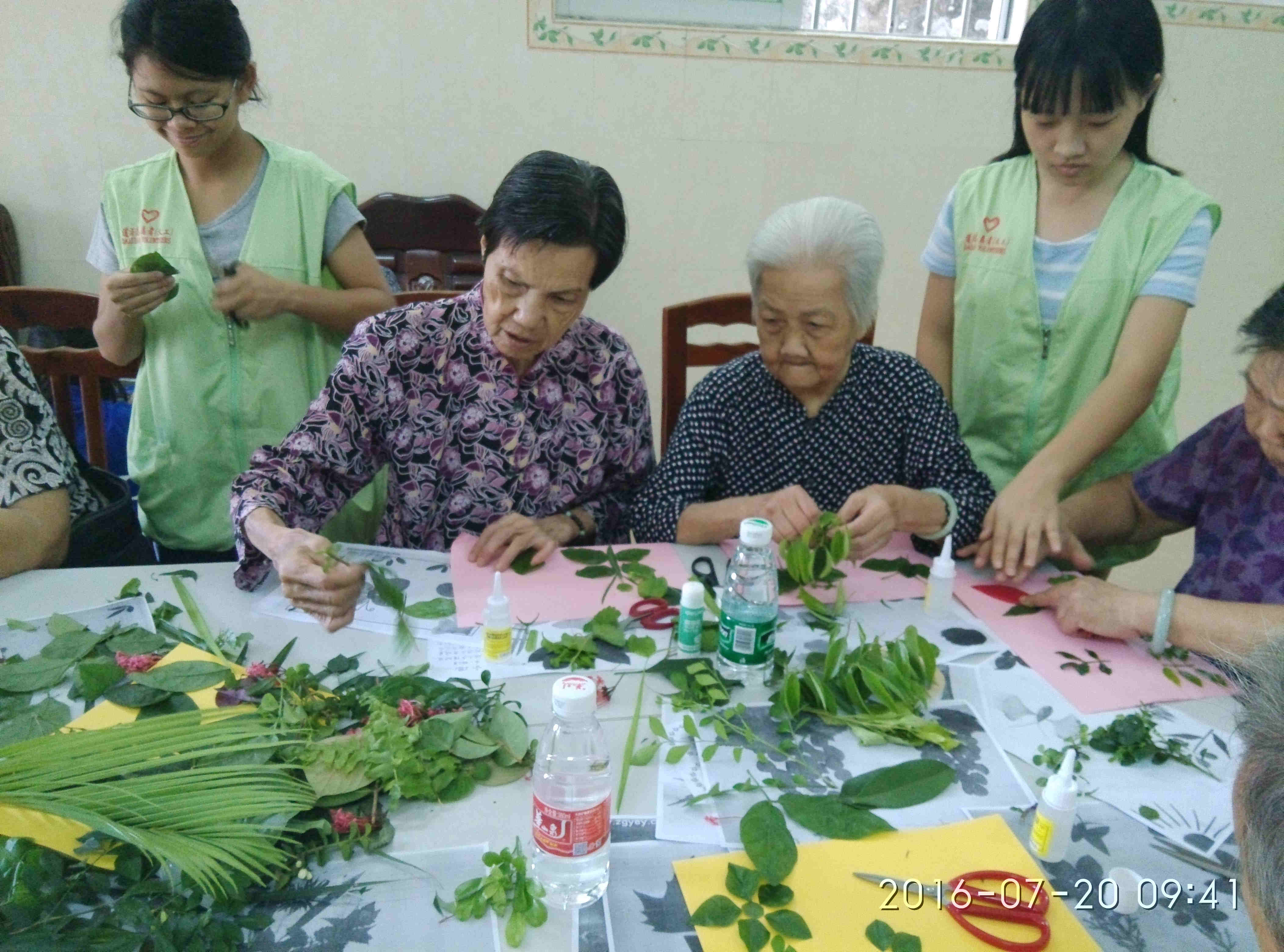 幸福的亚洲老人脸上，手里有着多汁的家庭植物 库存图片. 图片 包括有 室外, 成人, 关心, 事业, 从事园艺 - 283255205